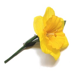 St Davids Day Traditional Welsh Lady Costume - Daffodil Lapel Badge