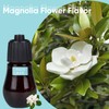 HAPPTWS Essential Oil Set - Honeysuckle, Jasmine and Magnolia Scent