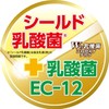 Lactic Acid Bacteria Powder, 20 Bags of Lactobacillus Splashing Powder,