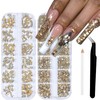 ITPOYOL Nail Art Rhinestones Flatback Rhinestones 3D Multi Shape Nail