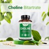 Nested Naturals Nested Naturals Choline Bitartrate 500mg Per 2 Capsules