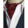 WANYING Men's Tie Scarf Ascot Tie Scarf Cravat Ties Simple