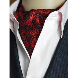 WANYING Men's Tie Scarf Ascot Tie Scarf Cravat Ties Simple Chic for Gentleman - Paisley, M01 Decorative Pattern Red & Black