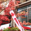 Canada Canadian Flag WindSock 2 Pack Stripes Wind Socks For