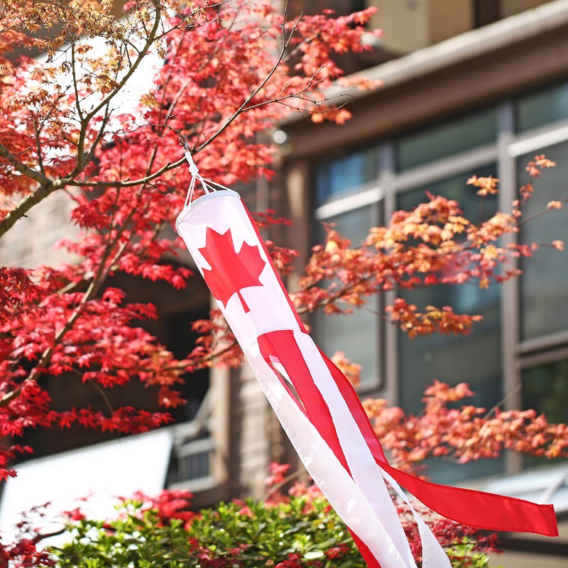Canada Canadian Flag WindSock 2 Pack Stripes Wind Socks For