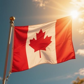 Premium Canadian Flag Large Canada Flags Outdoor Indoor Embroidered Maple Leaf Durable Polyester 210D Heavy Duty Canadian National Flag Home Garden Yard (3x5 Ft)