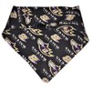 Baltimore Football Dog Bandana (Large)