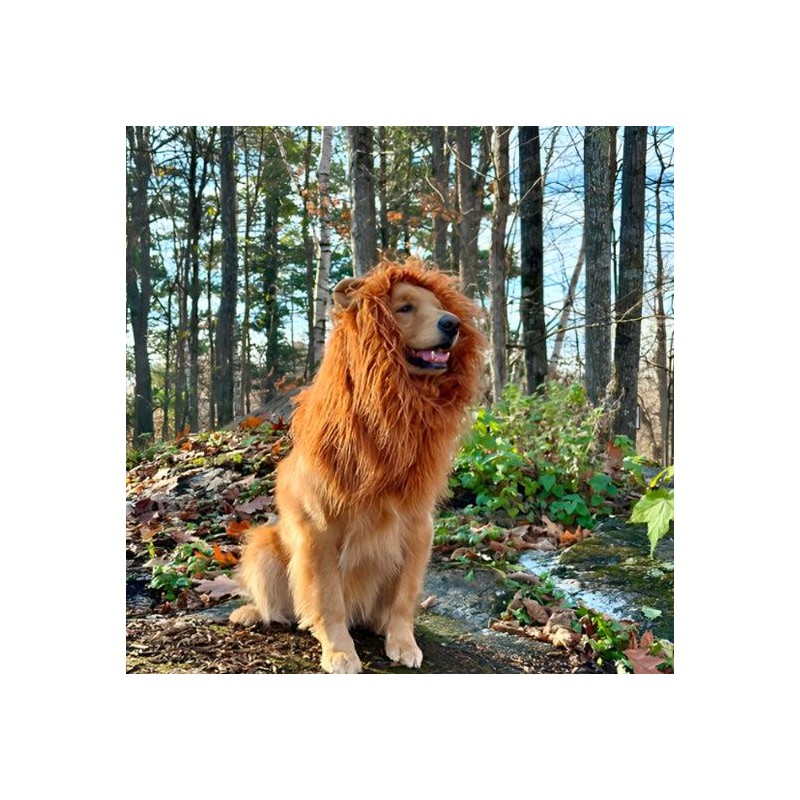 Lion Dog Costume for Halloween Dress-Up – Soft Fleece Hooded