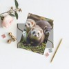 HQaxsfQxnr Greeting Cards Blank Note Cards with Gold Edge Envelopes