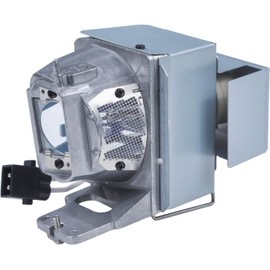 RANETLIO BL-FU245A SP.7FM01GC01 Replacement Lamp Bulb with Housing Compatible with OPTOMA GT1080HDR HD39HDR X412 W412 EH205ST EH412 EH412ST GT1080H Projector Lamp