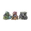 Nemesis Now Dragon's Gift Set of 3 7cm Figurine, Resin,
