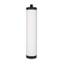 Doulton W9223021 UltraCarb Ceramic Water Filter Candle, White, Pack of 1