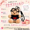 Amili 8 Types Bear Matching Keychains Fluffy Cute Teddy Bear