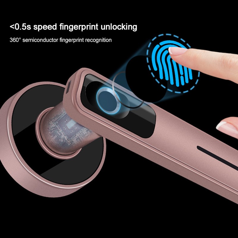Indoor Smart Biometric Fingerprint Aluminium Alloy Security Electronic Door LockRight