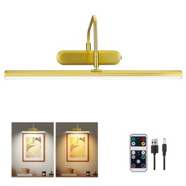 RAIFOOLLY Picture Light,2 Colors Art Lights for Paintings,15.9" Battery Operated Wall Light,Remote Painting Light with Timer and Dimmable for Frame, Portrait, Dartboard (Brass)