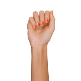 Vegan & Natural Nail Lacquer - Coral Orange 195 “Seize the Moment” - Natural & Plant-based Ingredients - Shine & Long-Lasting Wear - ALL TIGERS