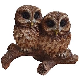 Vivid Arts BG-TWNY-D Woodland Owl on Branch | Resin Home Garden Decoration