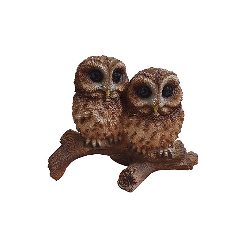 Vivid Arts BG-TWNY-D Woodland Owl on Branch | Resin Home