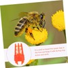 Mipcase 60Pcs Bee Queen Cages Protective Cage Beekeeping Tool for