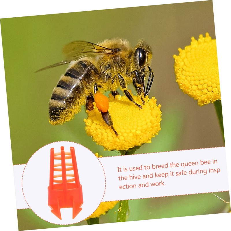 Mipcase 60Pcs Bee Queen Cages Protective Cage Beekeeping Tool for