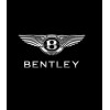 Bentley Continental GT Boot Lid Struts Pair 2004-2012 3W7827550G