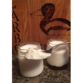 Homemade Yogurt Starter Culture Kit