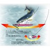 Shaut! Metal Jig Stay 500g Silver Holo #61 (SH) 119SY