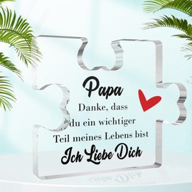 Dad Gift Christmas, Gifts for Dad Valentine's Day Gift for Dad Gift Birthday Easter Gift Dad Thank You Gifts Gift Ideas for Father's Day Daughter Acrylic Plaque Decoration