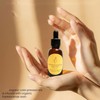 Frankincense Resin Oil For Face, Frankincense Resin Infused Oil, Facial