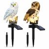 Solar Owl Garden Light for Outdoor Decor – Waterproof LED