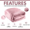 Lions Fleece Throw Blanket - 100% Polyester, Ultra Soft Faux