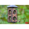 LEBANON SEABOARD SEED 26-47407 Delite Bird Food, 20 lb