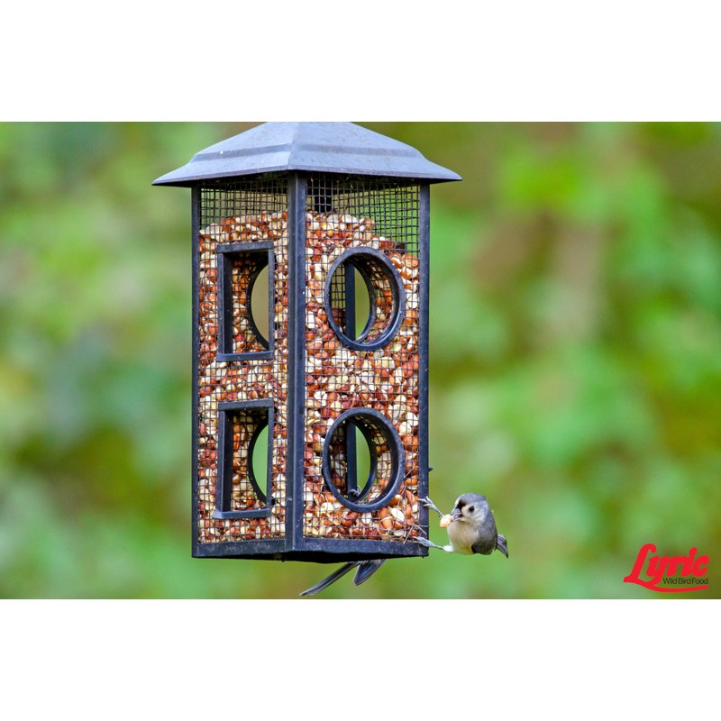 LEBANON SEABOARD SEED 26-47407 Delite Bird Food, 20 lb