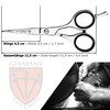 3 Swords Germany – professional BEARD MUSTACHE HAIR SCISSORS, stainless