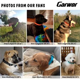 Garwor Reflective Dog Collar with Soft Neoprene Padding, Buckle Adjustable Safety Nylon Pet Collars for Small Dogs, Lightweight, Breathable, Comfort Fit(S, Golden Brown)