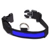 Arquivet - LED Light Up Collar Blue Medium 38-50cm 2.5cm