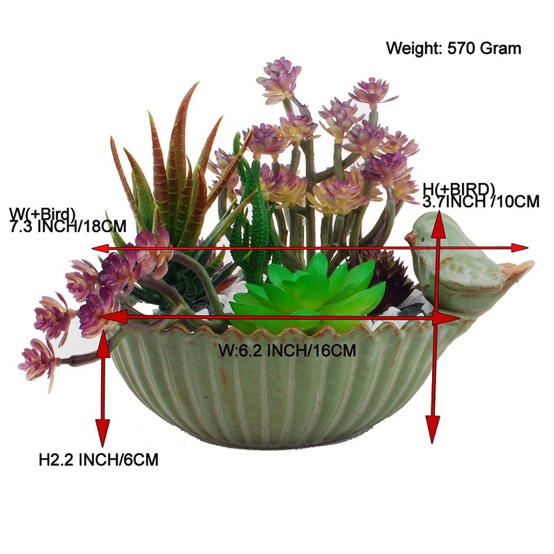 NWFashion Special Design Fun Garden 6INCH Flower Planter Succulent Pot