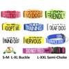 FRIENDLY (Known as Friendly) Green Colour Coded Neoprene Padded Dog