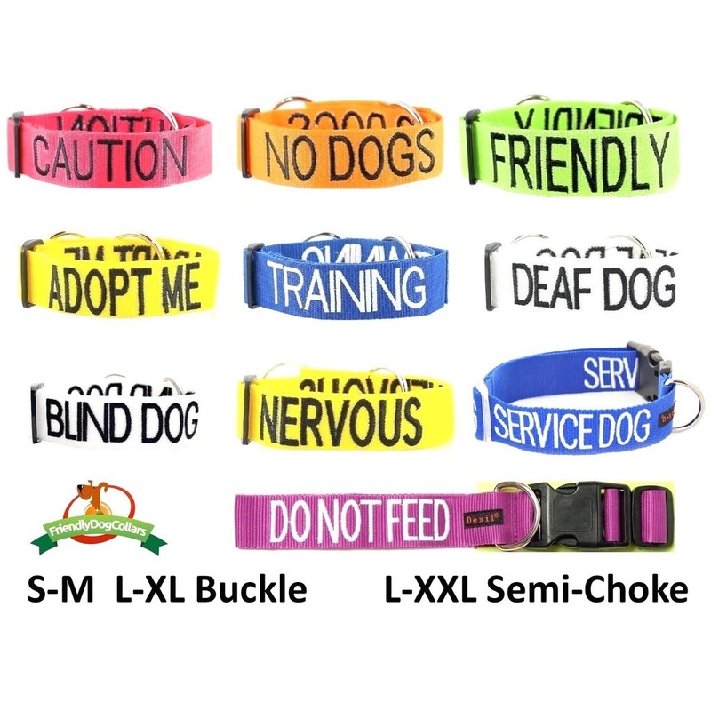 FRIENDLY (Known as Friendly) Green Colour Coded Neoprene Padded Dog