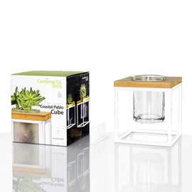 Couronne Co. Coastal Pablo Cube Hanging Planter Vase, 5 Inches tall, White Frame / Clear Glass, M260-200-00