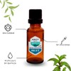 Aceite Esencial de Árbol de té Tea Tree Natural Puro
