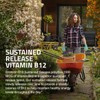 Bronson Vitamin B12 1000 mcg Sustained Release Premium Non GMO