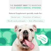 Natural PET Biodent Nutritional Supplement for Dogs, Chicken & Fine