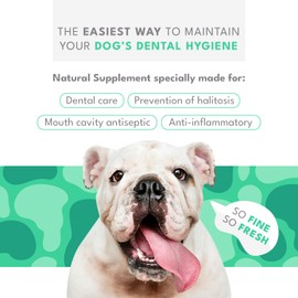 Natural PET Biodent Nutritional Supplement for Dogs, Chicken & Fine Herbs, 30 Sachets, 1.6 oz