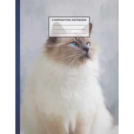 Composition Notebook: rainbow dj cat kitty Writing Journal Notebook With Lined Paper For Teens, Girls, Boys, And Students, Wide Journal, Cute School Supplies 8.5x11 inches, 110 Pages A64