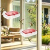 Stentec Window Hummingbird Feeder 2 Pack, Plastic Bird Feeding Tray