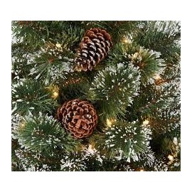 Christmas Pine Fragrance Oil 4 oz Bottle Premium Grade for Candle and Soap Making by Midway Mercantile