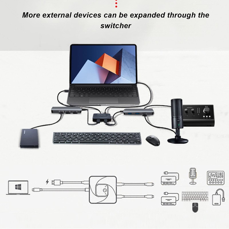 USB C Switch 2 in 1 Out, Plug and Play