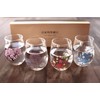 Marumo Takagi Japanese Four Seasons Color Changing Glass Cup Set,