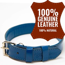 Logical Leather Dog Collar - Best Full Grain Padded Genuine Leather Dog Collars for Medium Dogs (Blue, Medium)